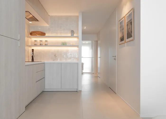 公寓 Designappartement Met Zijdelings Zicht Op Zee 奥斯滕德